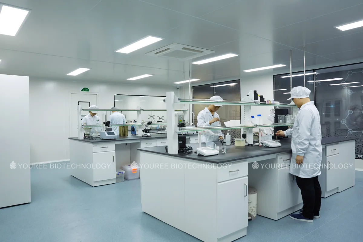 Research and development laboratory with technical staff